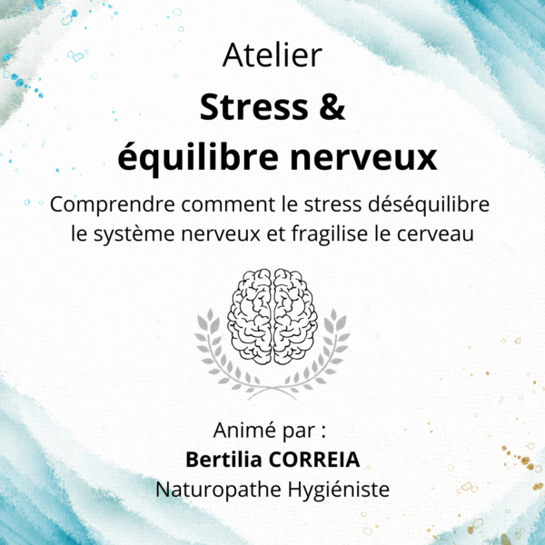 Atelier 2 Stress et équilibre nerveux