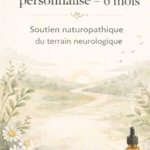 Accompagnement 6 mois