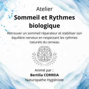 Atelier Sommeil et Rythmes biologiques